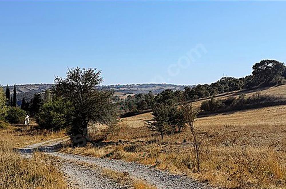 C21 Bal'dan Naipli'de 16.130 m2 Proje Geliştirilebilir Tarla