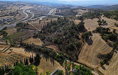 C21 Bal'dan Naipli'de 16.130 m2 Proje Geliştirilebilir Tarla
