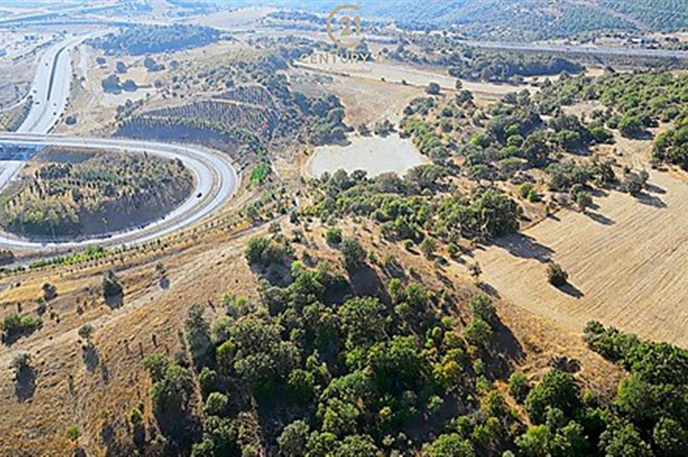 C21 Bal'dan Naipli'de 16.130 m2 Proje Geliştirilebilir Tarla