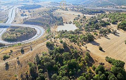 C21 Bal'dan Naipli'de 16.130 m2 Proje Geliştirilebilir Tarla