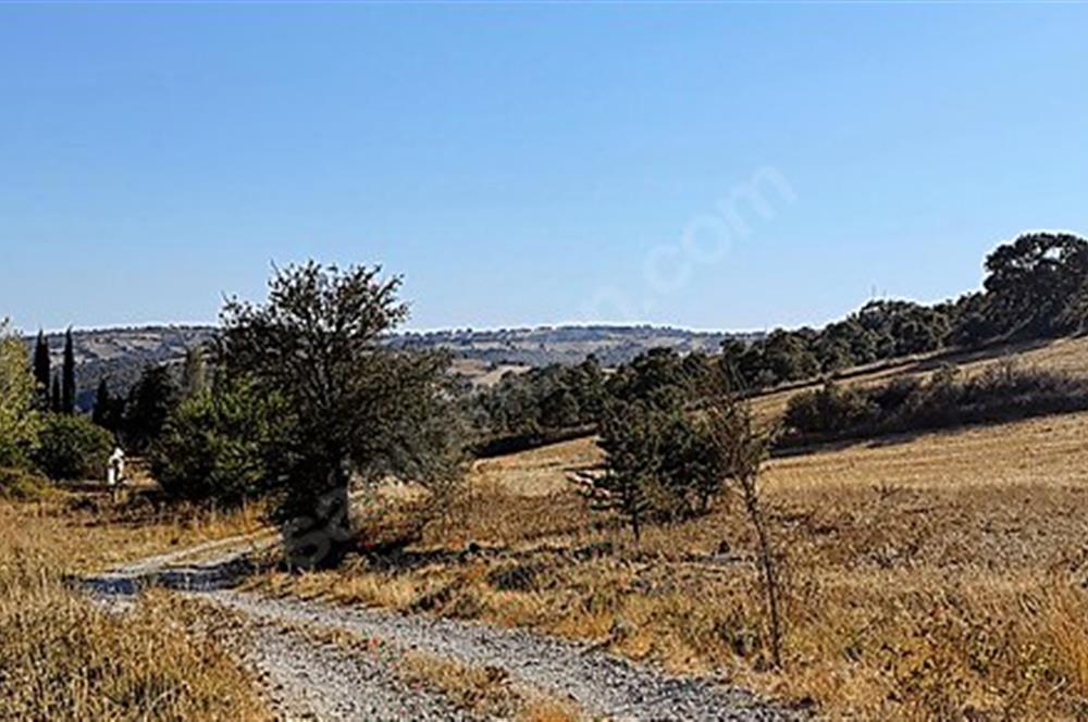 C21 Bal'dan Naipli'de 16.130 m2 Proje Geliştirilebilir Tarla
