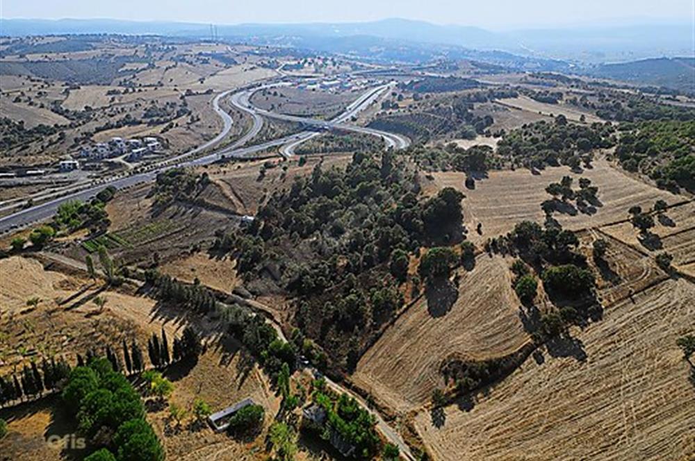 C21 Bal'dan Naipli'de 16.130 m2 Proje Geliştirilebilir Tarla