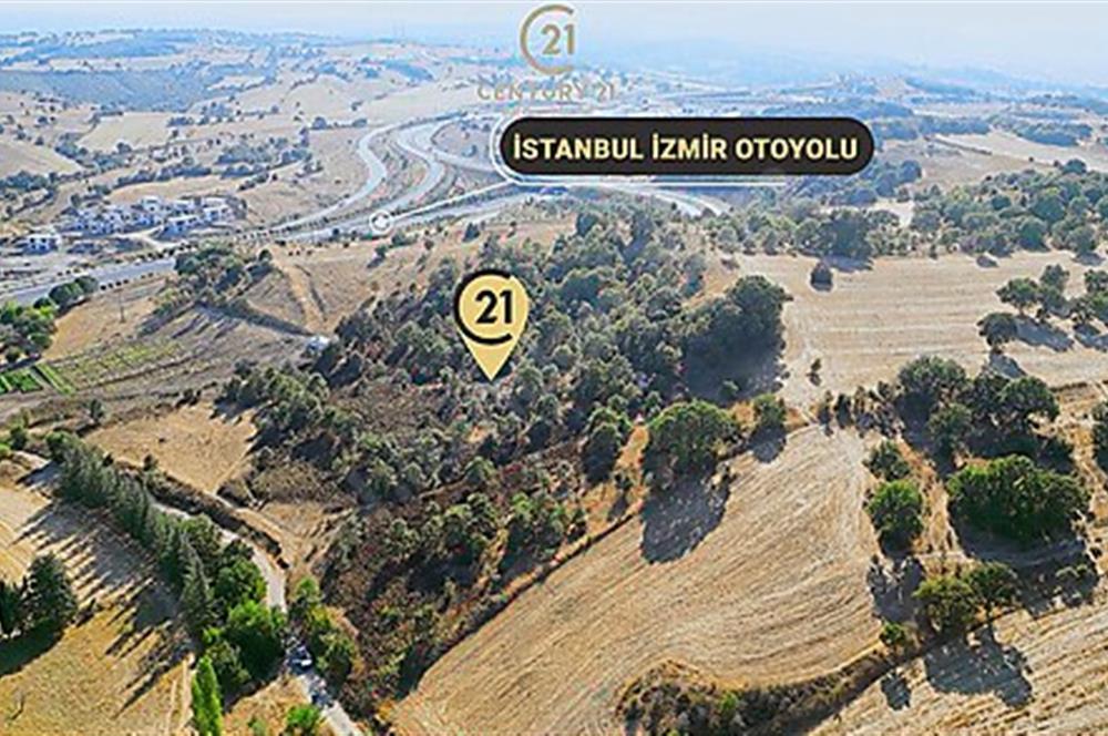 C21 Bal'dan Naipli'de 16.130 m2 Proje Geliştirilebilir Tarla