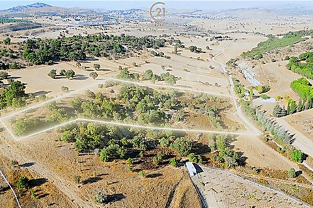 C21 Bal'dan Naipli'de 16.130 m2 Proje Geliştirilebilir Tarla