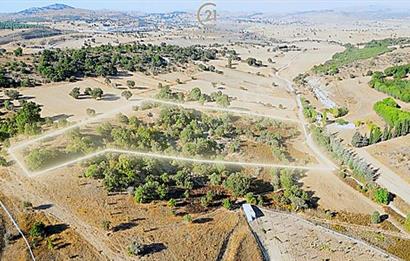 C21 Bal'dan Naipli'de 16.130 m2 Proje Geliştirilebilir Tarla
