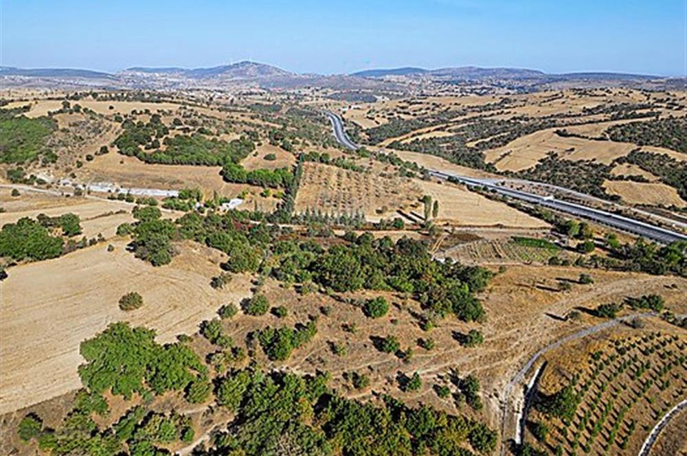 C21 Bal'dan Naipli'de 16.130 m2 Proje Geliştirilebilir Tarla