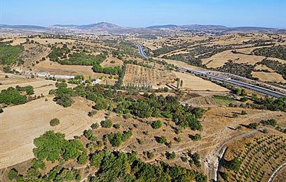 C21 Bal'dan Naipli'de 16.130 m2 Proje Geliştirilebilir Tarla