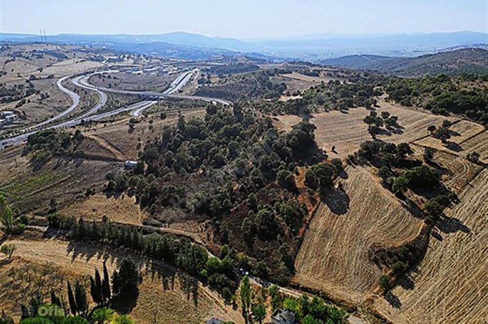 C21 Bal'dan Naipli'de 16.130 m2 Proje Geliştirilebilir Tarla