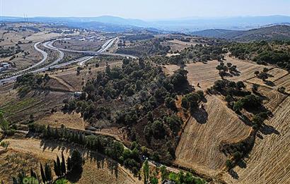 C21 Bal'dan Naipli'de 16.130 m2 Proje Geliştirilebilir Tarla