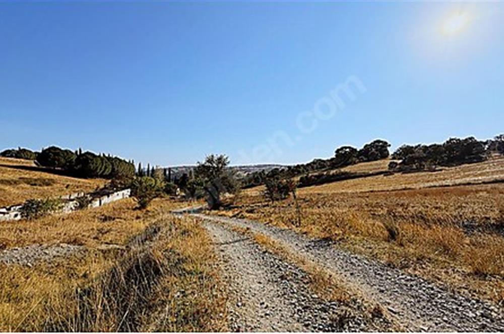 C21 Bal'dan Naipli'de 16.130 m2 Proje Geliştirilebilir Tarla