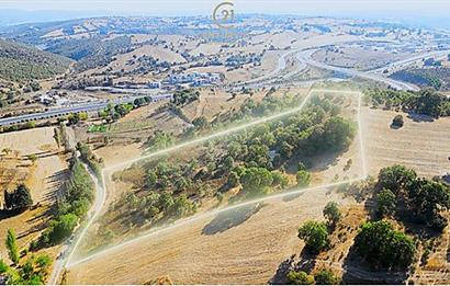C21 Bal'dan Naipli'de 16.130 m2 Proje Geliştirilebilir Tarla
