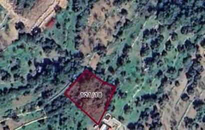 Datça Mesudiye’de 1289 m² Verimli Bademlik – Yatırımlık Tarla