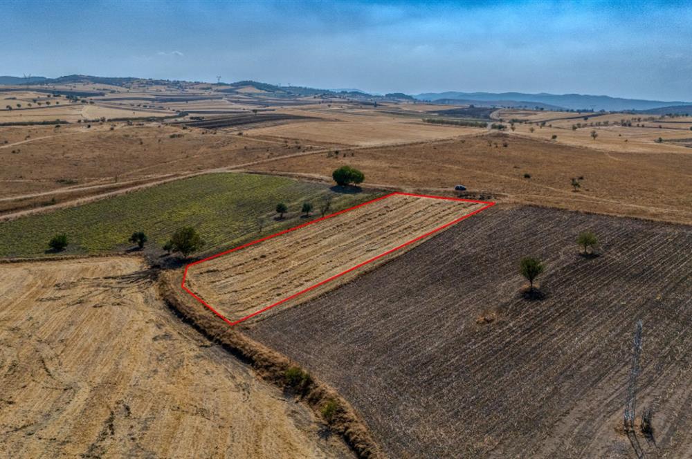  CENTURY21 LOCA'DAN PELİTKÖY'DE YOL ÜZERİNDE FIRSAT ARAZİ !