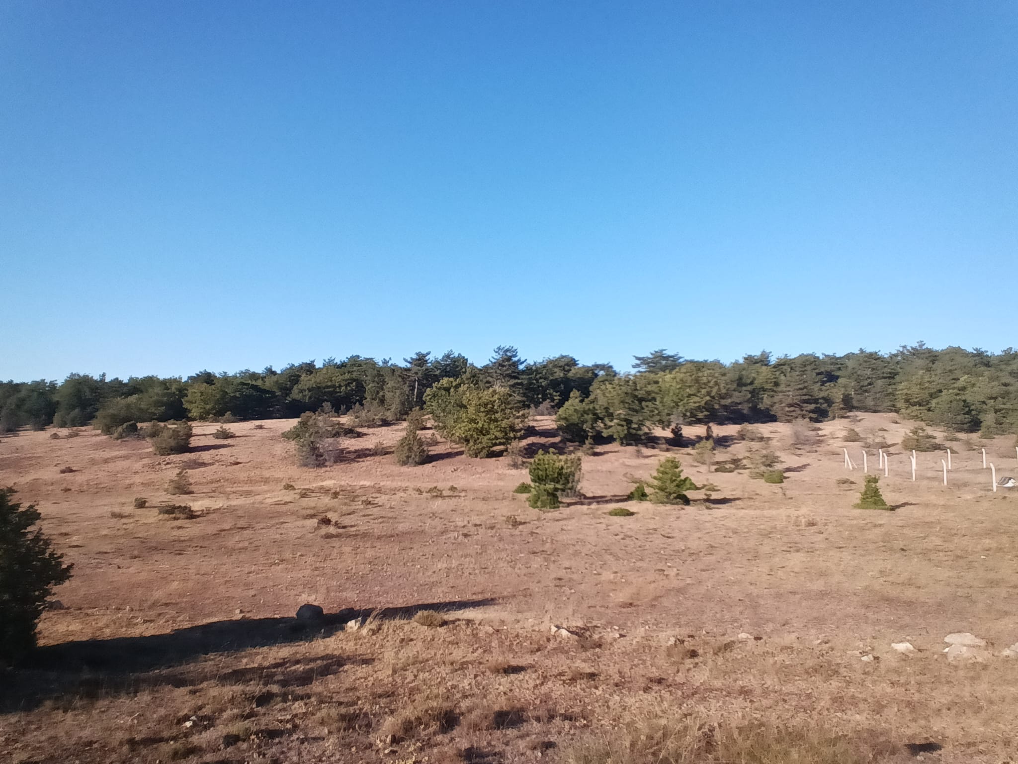 CENTURY 21 VİZYON'DAN ESKİŞEHİR YARIMCA MAHALLESİNDE  SATILIK TARLA