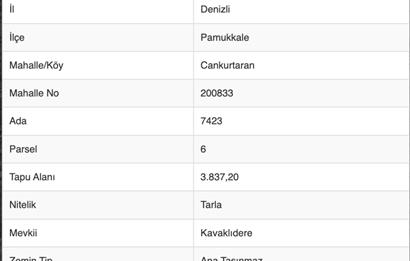 CANKURTARAN'DA FIRSAT ANAYOLA YAKIN TARLA