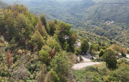 KARTEPE'DE PANAROMİK DENİZ MANZARALI 5250 M2 TARLA