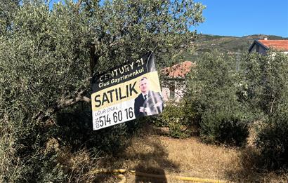 C21 Cius; Umurbey'de 588 m2 Konut İmarlı Satılık Arsa