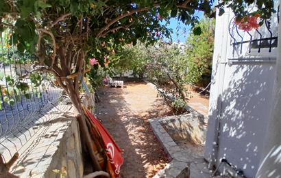 Bodrum Gümüşlük Bahçeli Müstakil Ev