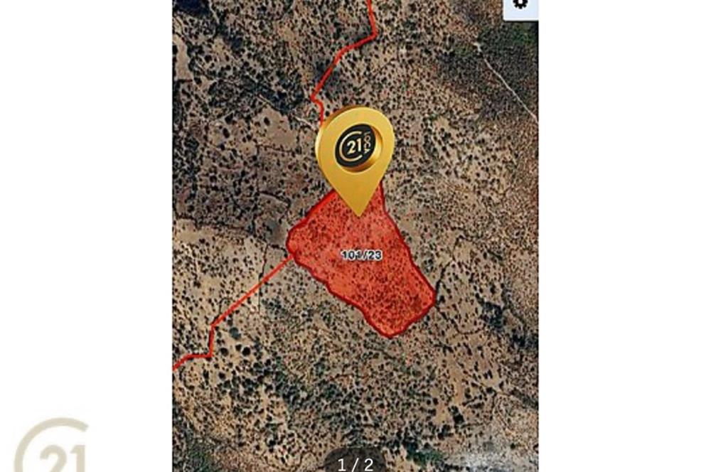 C21 LOCA’DAN BİGADİÇ DAVUTÇA YATIRIMA UYGUN TARLA