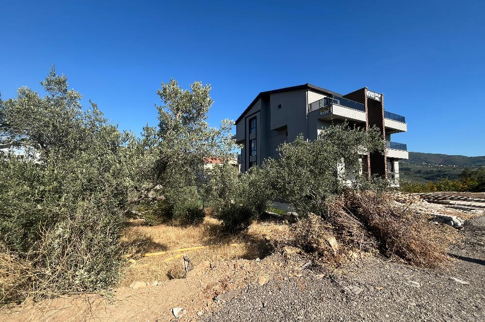 C21 Cius; Umurbey'de 588 m2 Konut İmarlı Satılık Arsa