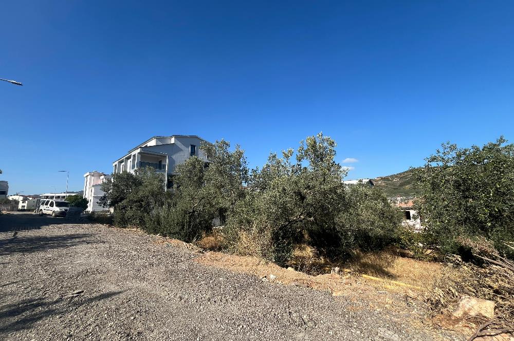 C21 Cius; Umurbey'de 588 m2 Konut İmarlı Satılık Arsa