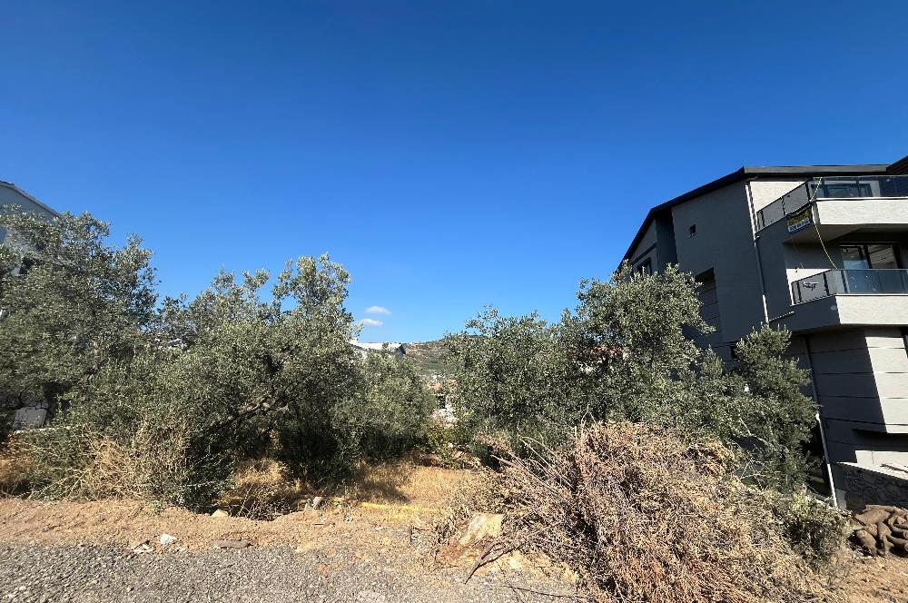 C21 Cius; Umurbey'de 588 m2 Konut İmarlı Satılık Arsa