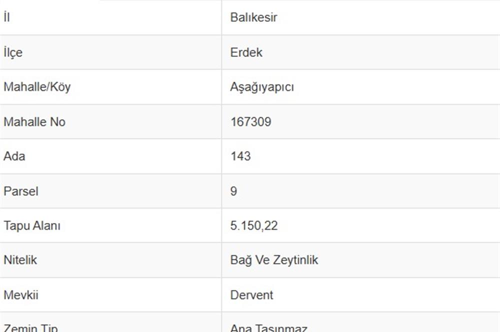 Erdek Aşağıyapıcı Satılık Zeytinlik