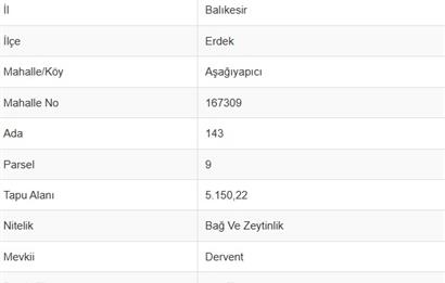 Erdek Aşağıyapıcı Satılık Zeytinlik