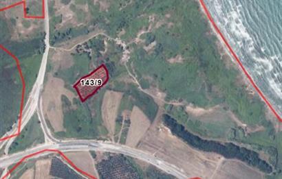 Erdek Aşağıyapıcı Satılık Zeytinlik