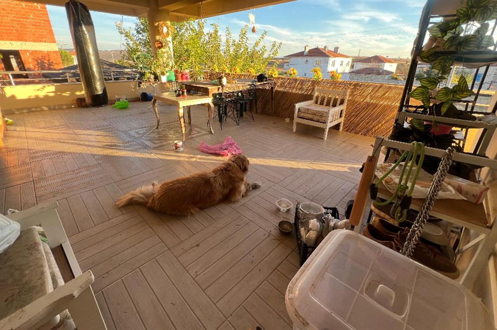 C21 BAL'DAN NAİPLİ 1037M² KİRALIK VERANDALI MÜSTAKİL EV