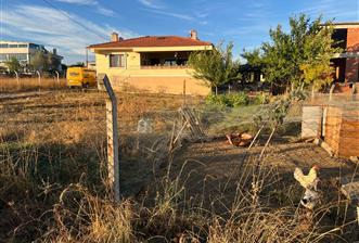 C21 BAL'DAN NAİPLİ 1037M² KİRALIK VERANDALI MÜSTAKİL EV