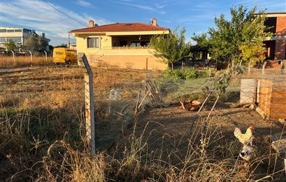 C21 BAL'DAN NAİPLİ 1037M² KİRALIK VERANDALI MÜSTAKİL EV