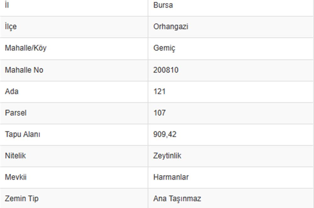 C21 Cius; Gemiç'te Muhteşem Doğa ve Göl Manzaralı Zeytinlik