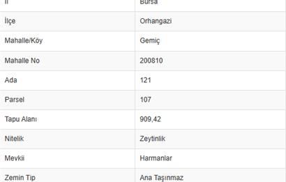 C21 Cius; Gemiç'te Muhteşem Doğa ve Göl Manzaralı Zeytinlik