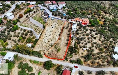 C21 NOVO'DAN MUDANYA İPEKYAYLA DA KÖYÜN İÇİNDE MÜSTAKİL PARSEL