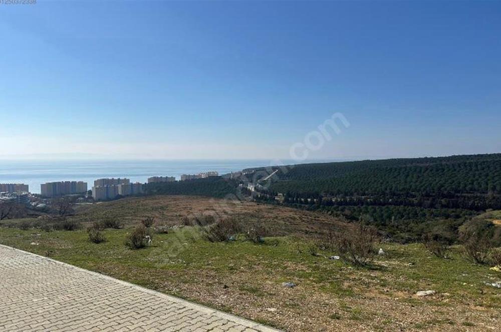 C21 ROOF'DAN YALOVA ARMUTLUDA 4 KAT İMARLI ARSA