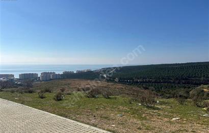 C21 ROOF'DAN YALOVA ARMUTLUDA 4 KAT İMARLI ARSA