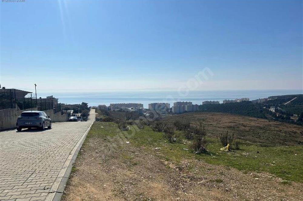 C21 ROOF'DAN YALOVA ARMUTLUDA 4 KAT İMARLI ARSA