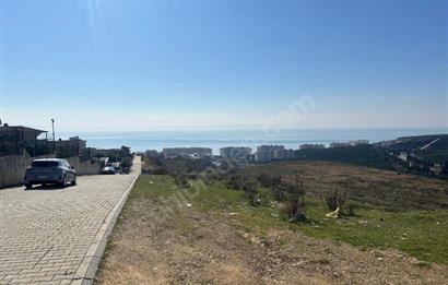 C21 ROOF'DAN YALOVA ARMUTLUDA 4 KAT İMARLI ARSA