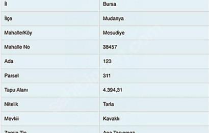 C21 Cius; Mudanya Mesudiye Ayazma'da 312 m2 Satılık Arazi