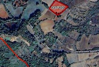 YALOVA ALTINOVA FEVZİYE KÖYÜ'NDE YÜKSEK VERİMLİ BAHÇE 