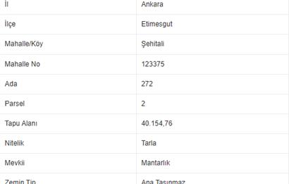C21 VİZYON' dan Şehitali Mahallesi'nde İmara Yakın 7529m² Tarla