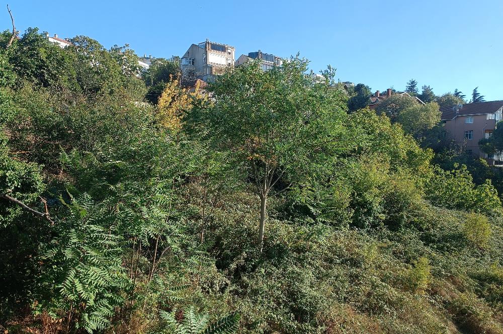Sahile yürüme mesafesinde Mercan konaklarında 140m2 kiralık 3+1