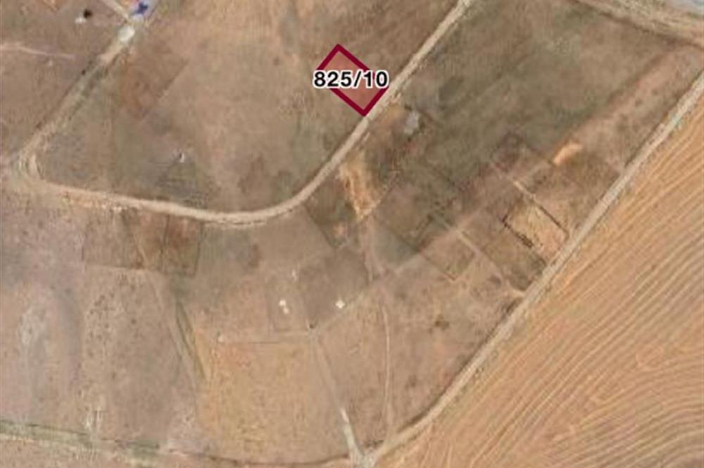 GÖLBAŞI KARAALİ YAZLIK MAHALESİNDE SU,ELEKTRİKLİ SATILIK HOBİ BAHÇELERİ