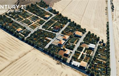 GÖLBAŞI KARAALİ YAZLIK MAHALESİNDE SU,ELEKTRİKLİ SATILIK HOBİ BAHÇELERİ