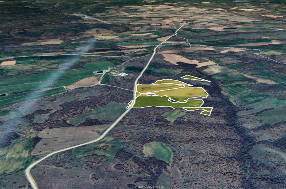 C21 BAL'DAN 135 DÖNÜM TEK PARÇA//PROJE GELİŞTİRMEYE UYGUN TARLA