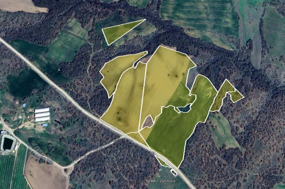 C21 BAL'DAN 135 DÖNÜM TEK PARÇA//PROJE GELİŞTİRMEYE UYGUN TARLA