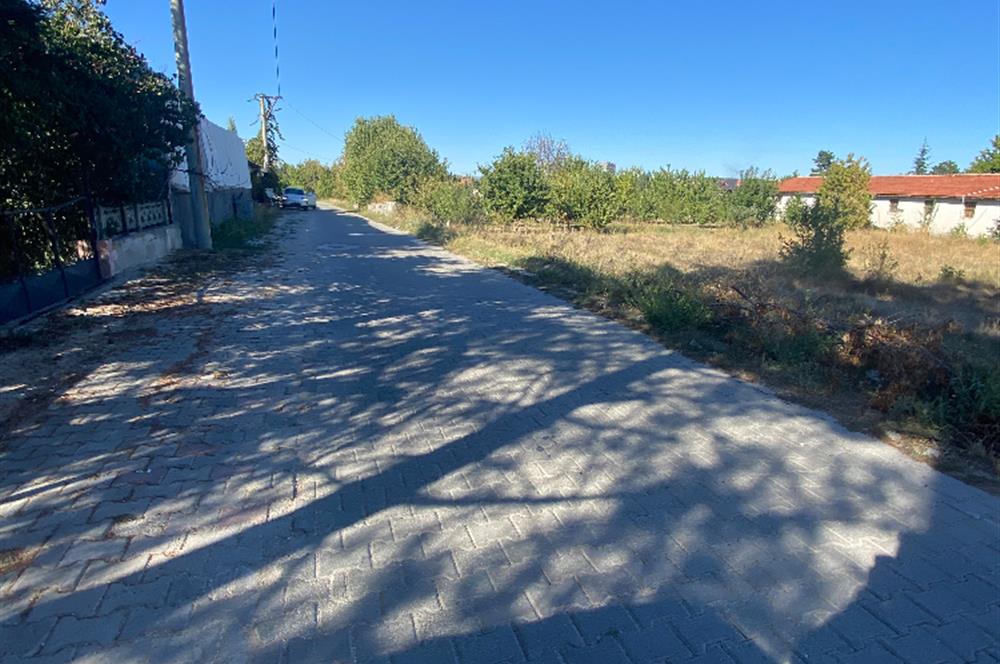 CENTURY 21 PLUS GAYRİMENKULDEN ERKMEN F.ÇAKMAK TA KİRALIK TARLA