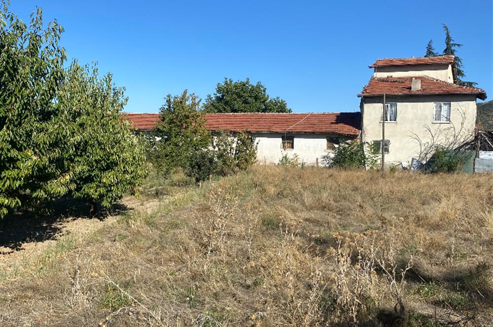 CENTURY 21 PLUS GAYRİMENKULDEN ERKMEN F.ÇAKMAK TA KİRALIK TARLA