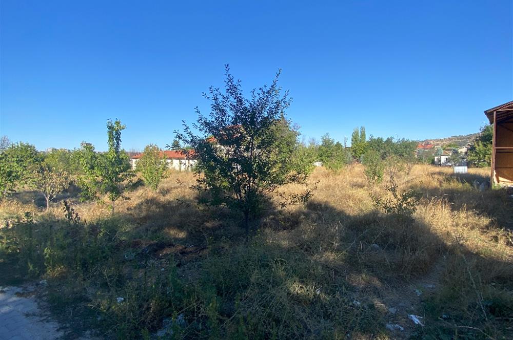 CENTURY 21 PLUS GAYRİMENKULDEN ERKMEN F.ÇAKMAK TA KİRALIK TARLA